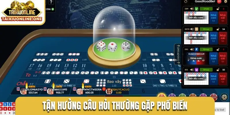tan huong cau hoi thuong gap pho bien Tận hưởng câu hỏi thường gặp phổ biến